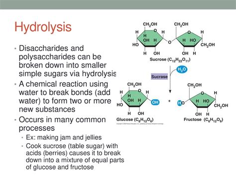 hydrolysis of disaccharides and polysaccharides|Hydrolysis of Carbohydrates Chemistry Tutorial .
